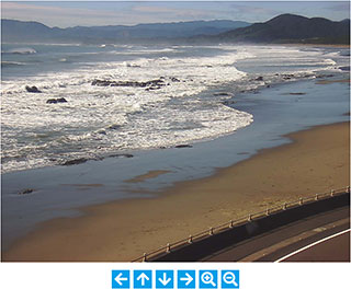 大方浮鞭① サンプル画像