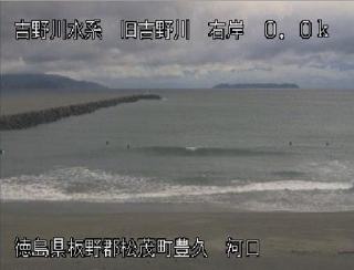 旧吉野川河口 サンプル画像