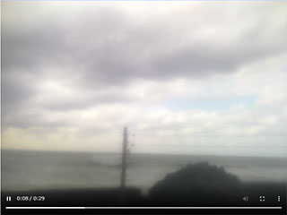 雄島※ サンプル画像
