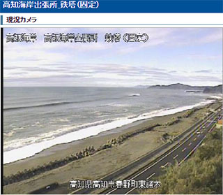 甲殿 サンプル画像