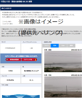 12片貝新堤ライブカメラ