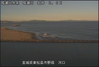 野蒜･浜市 サンプル画像