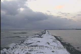 最上川河口(宮野浦) 320