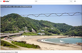 内妻 サンプル画像