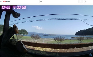 三崎浦※ サンプル画像