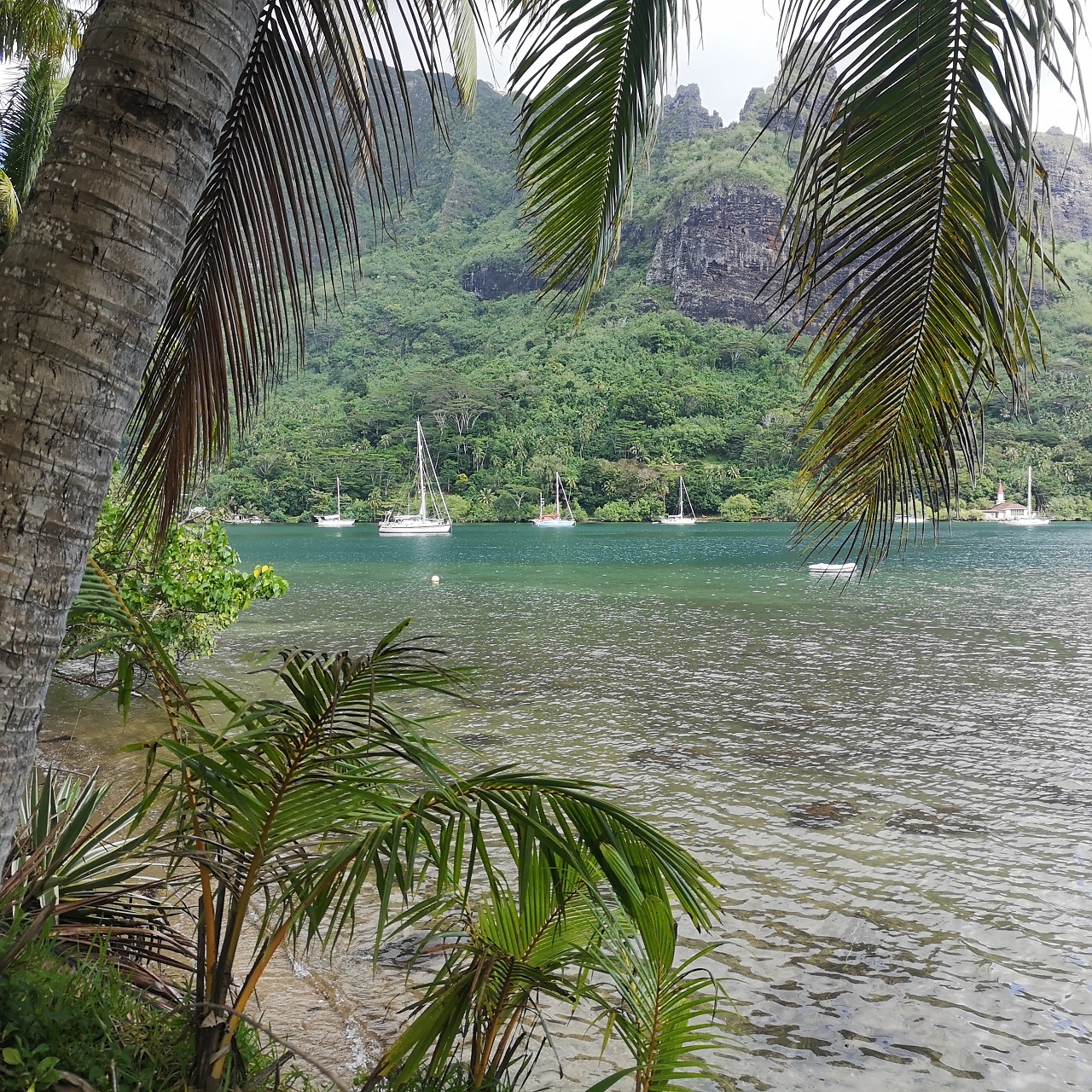 Weiters nach Moorea