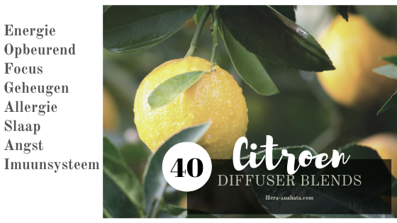 40 diffuser blends met citroen