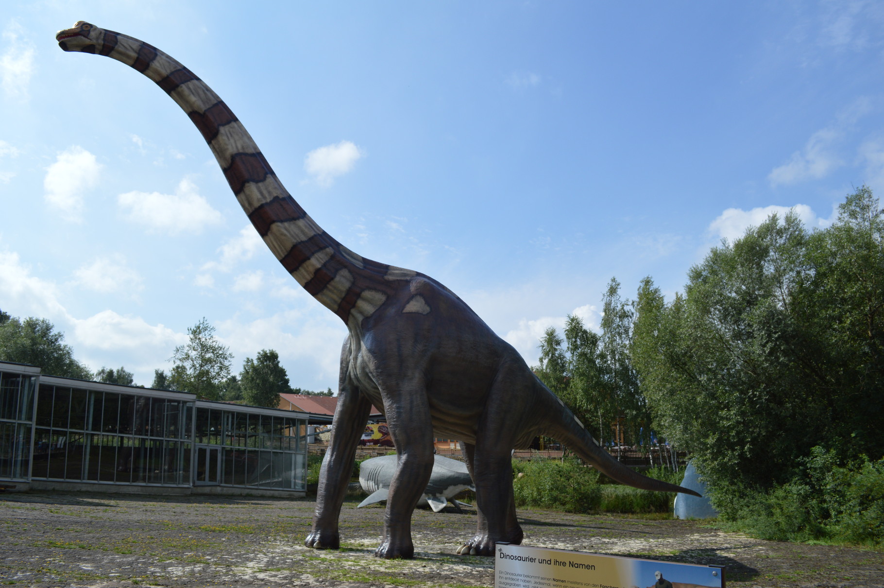Projekt: Dinosaurier Park  sauriermuseums JimdoPage!