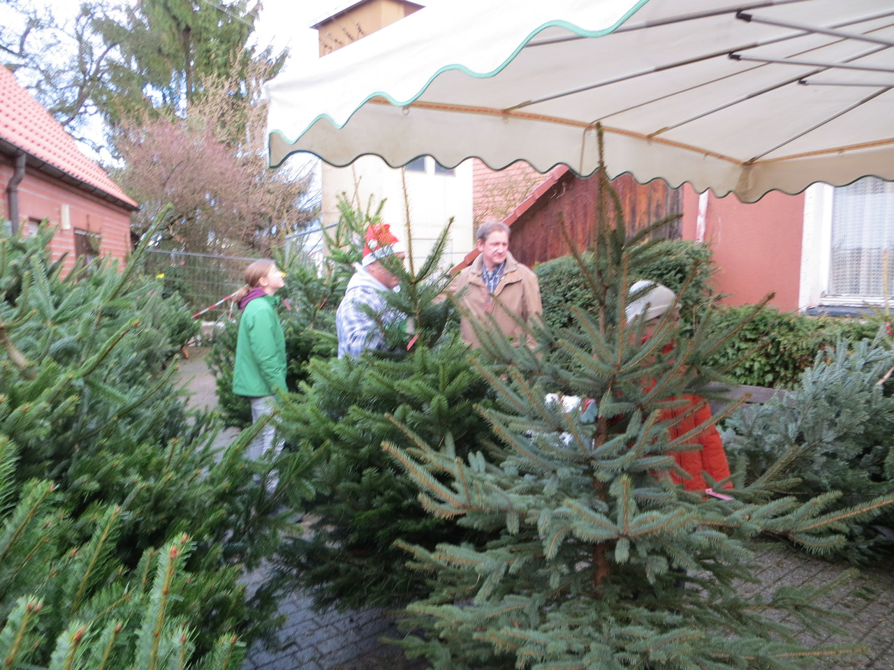 MGV verkaufte die schönsten Weihnachtsbäume in Breuningsweiler