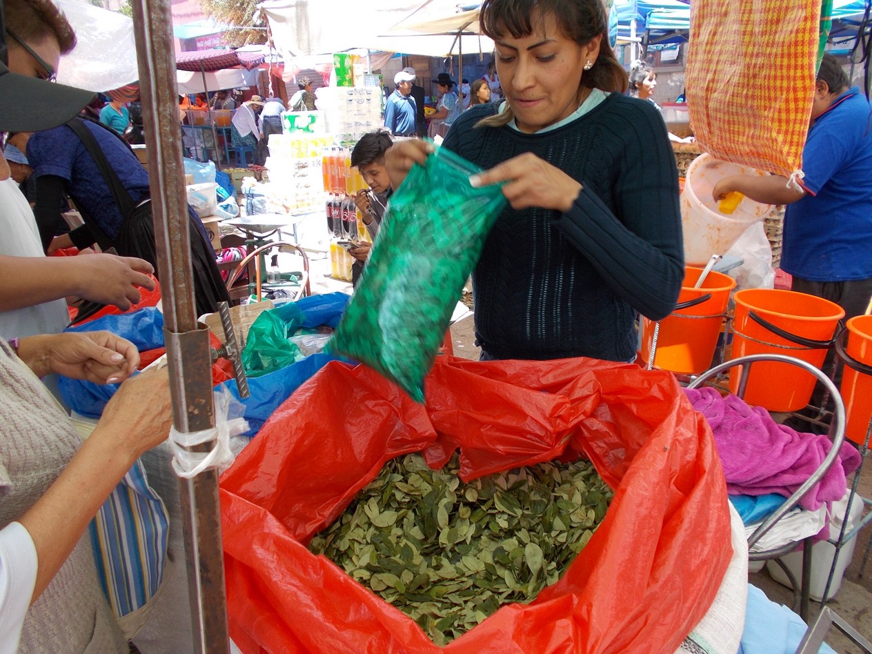 marchande de feuilles de coca sur le marché de Tupiza