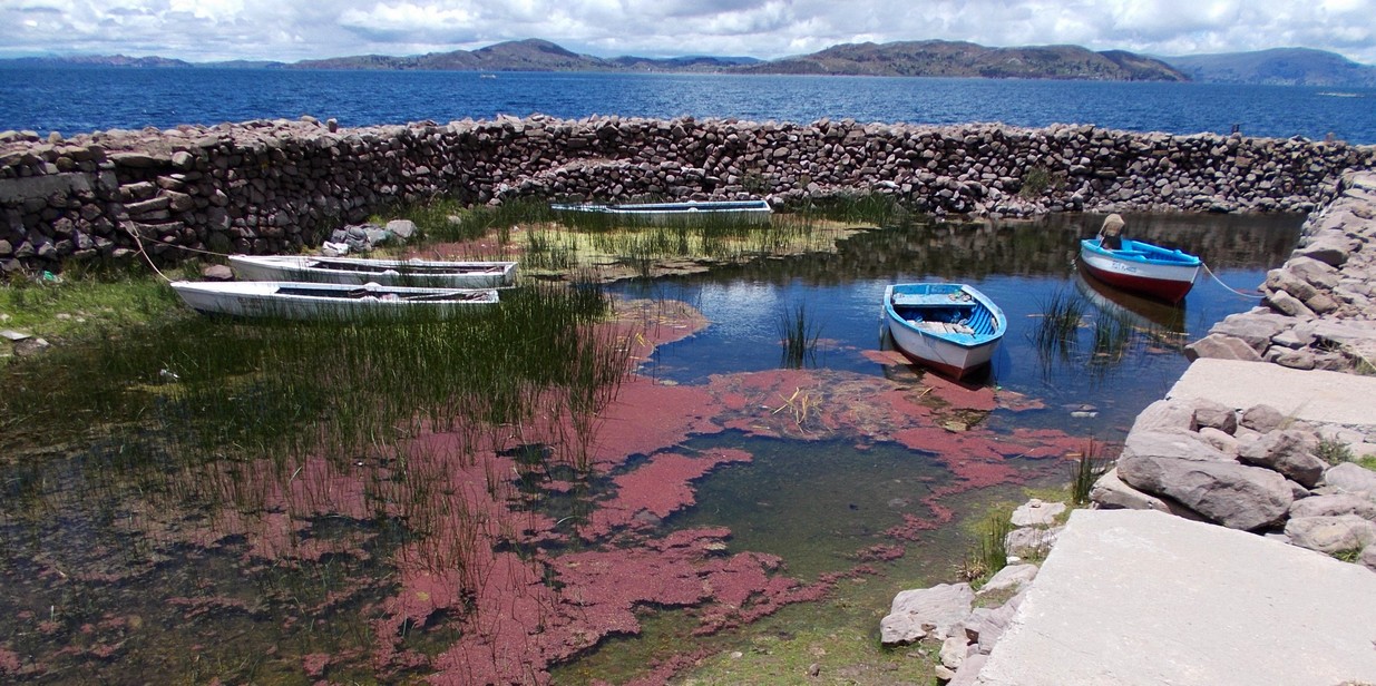 petit port sur le lac Titicaca