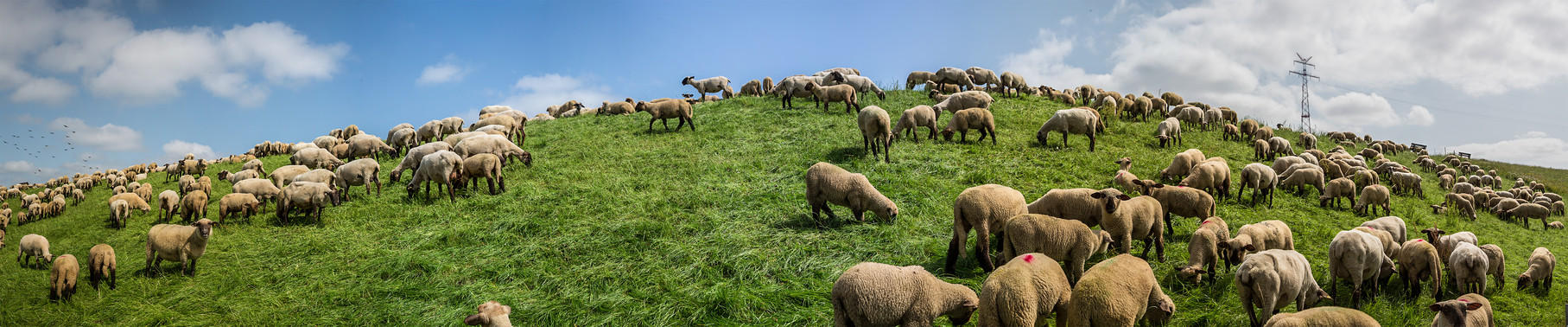 Ostfriesland Deutschland