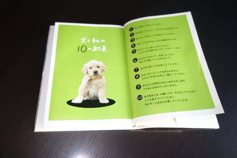 犬と私の10の約束