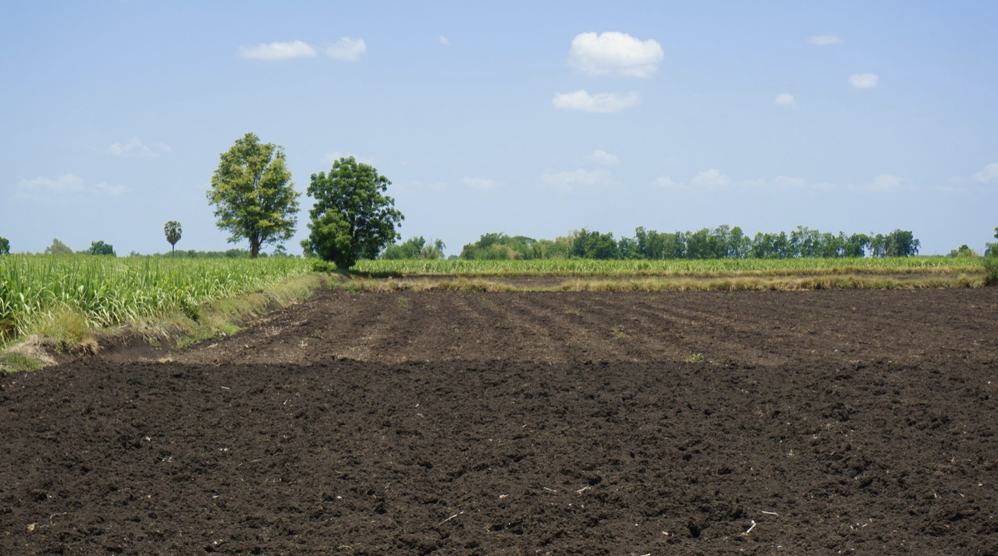 Vendere un terreno agricolo: tutti i passi da compiere