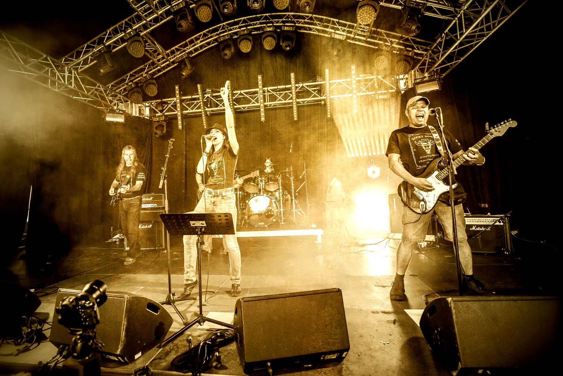 Geschützter Bereich Login Rocky Bones Country Blues Rock Cover