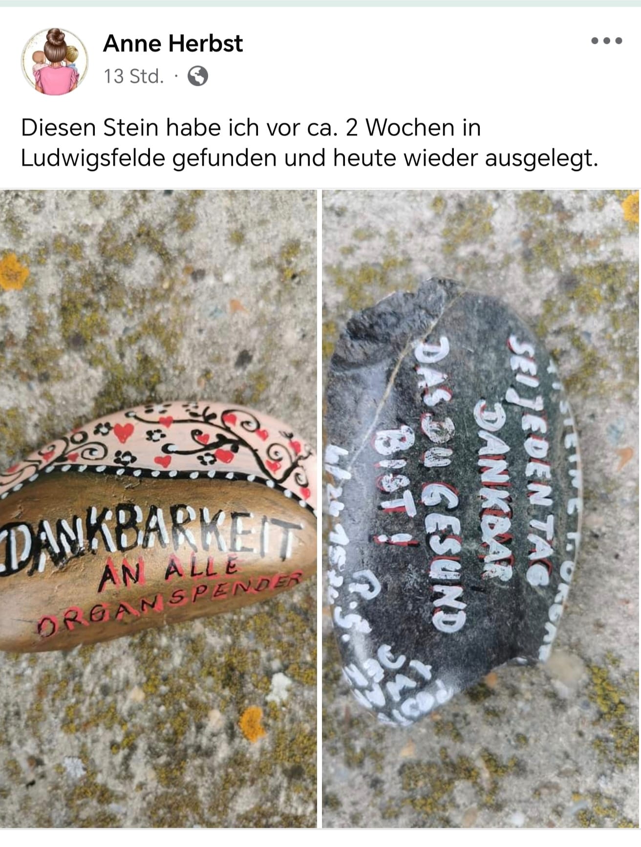 Diana Wolff gefunden