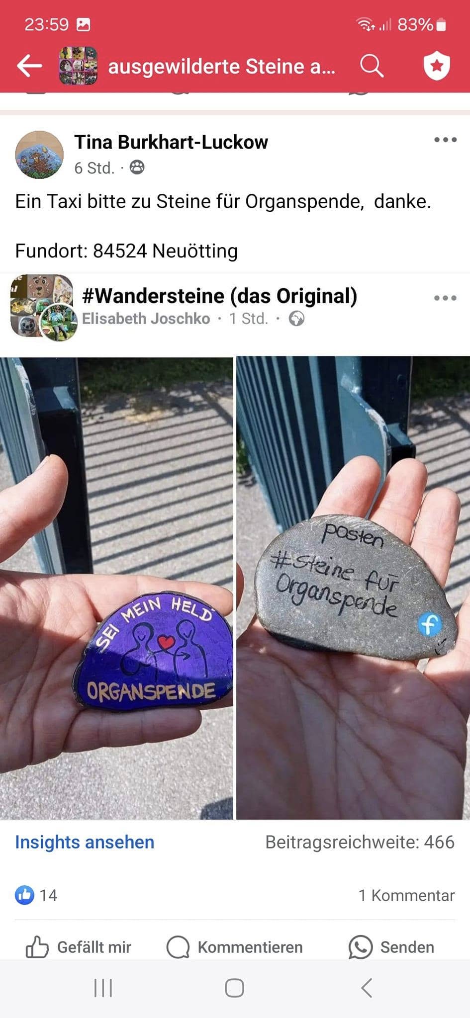 Ausgewilderte Steine - Tina Burkhardt-Luckow