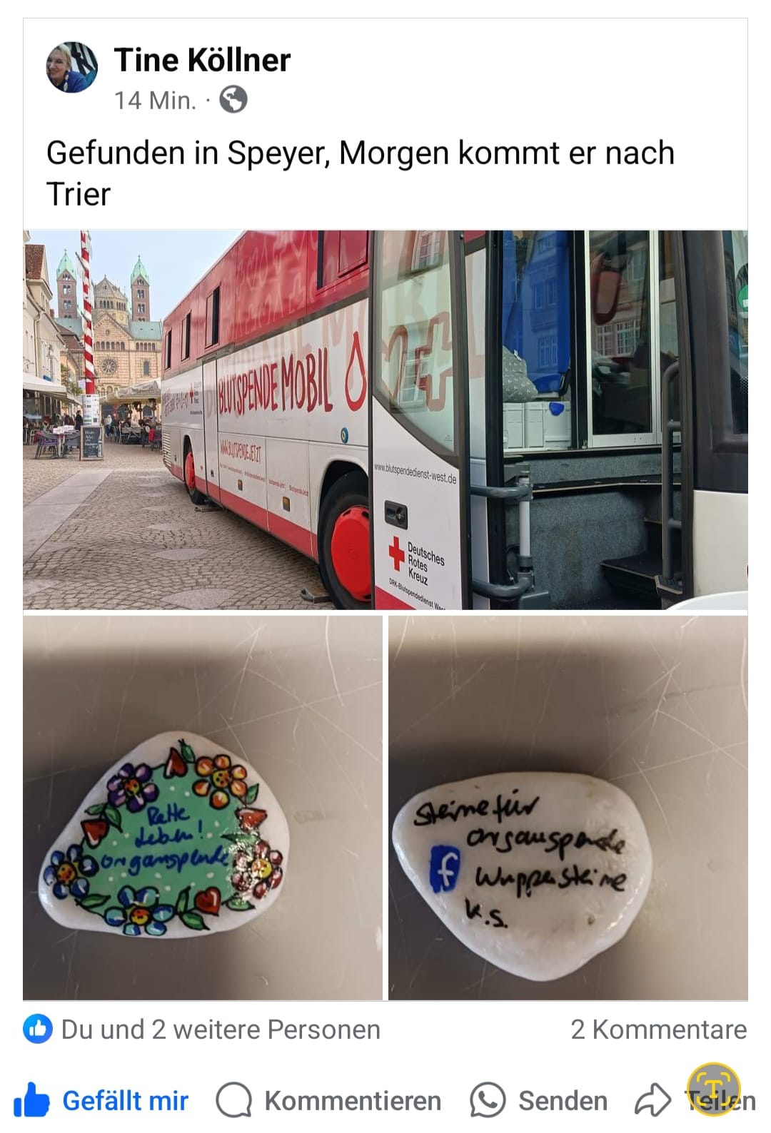 Tine Knöller gefunden