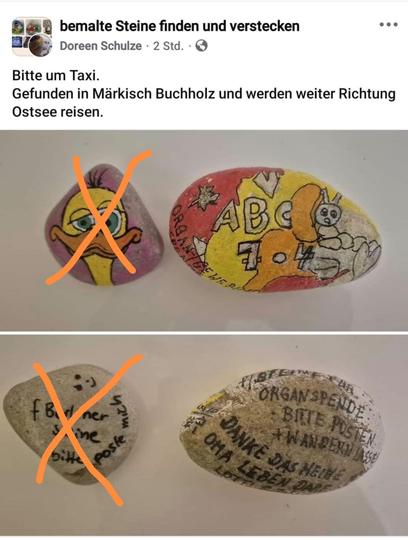 Dina Wolff gefunden