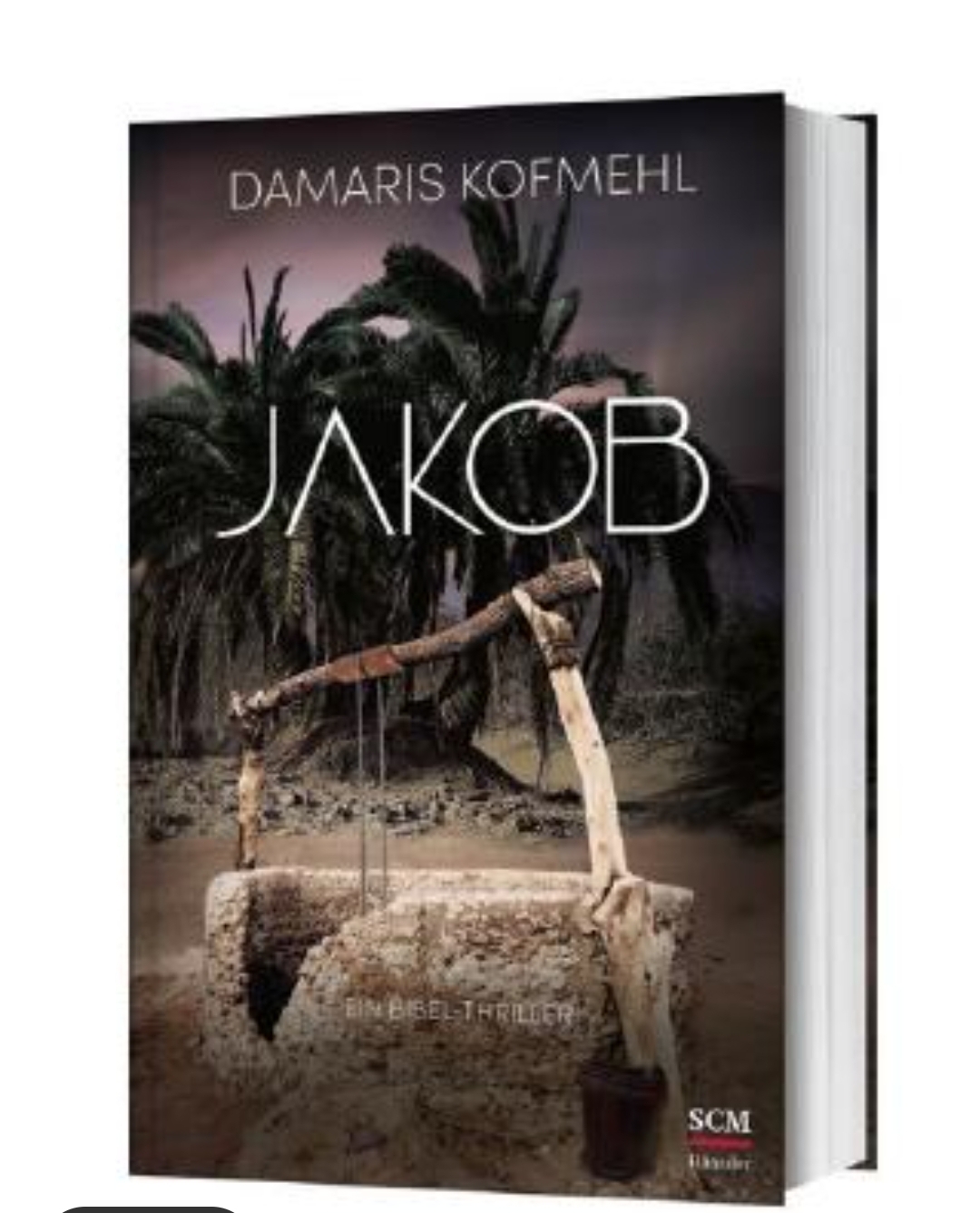 Bibel-Thriller… von Bestseller-Autorin Damaris Kofmehl, der von Gottes Größe erzählt. 