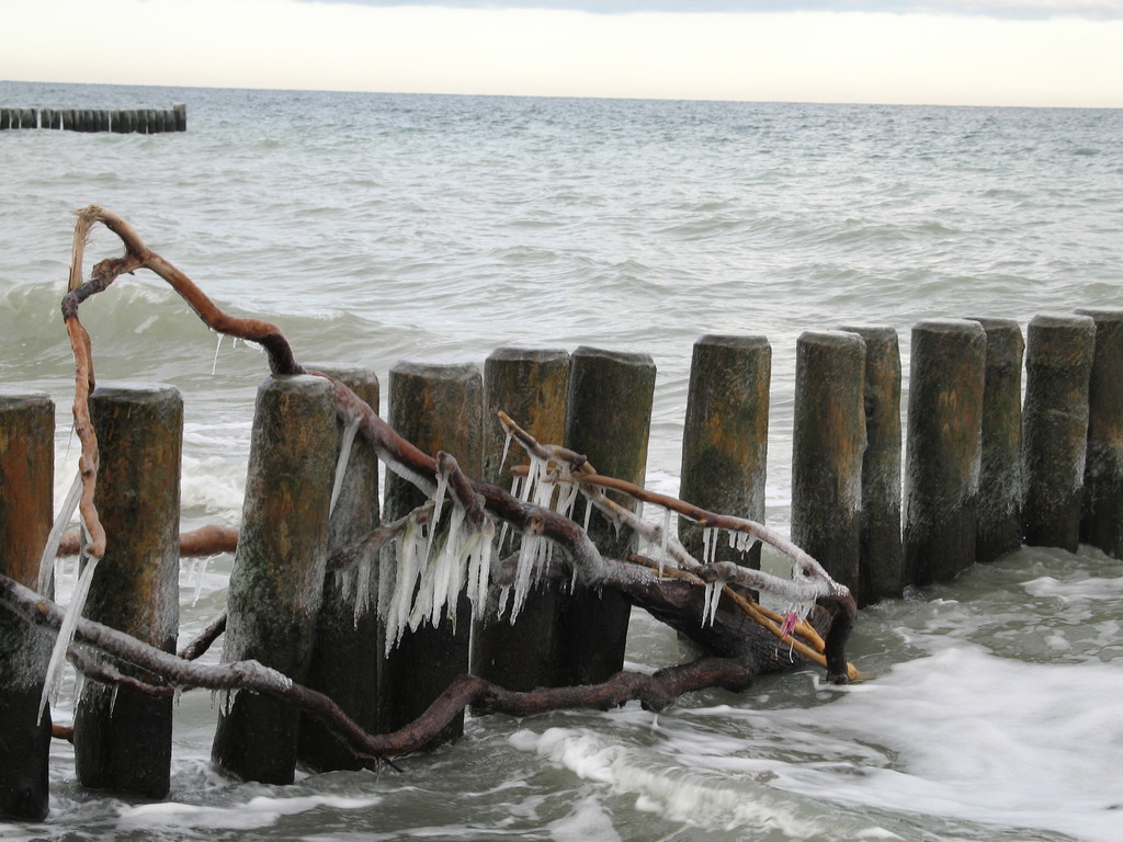 Januar 2011 am Strand