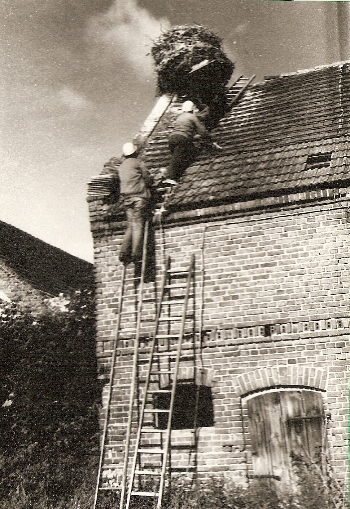 Groß Ziethen 1986.