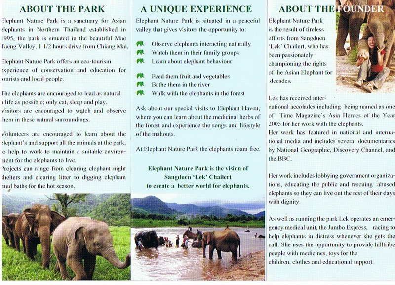 Elephants Vida Guesthouse