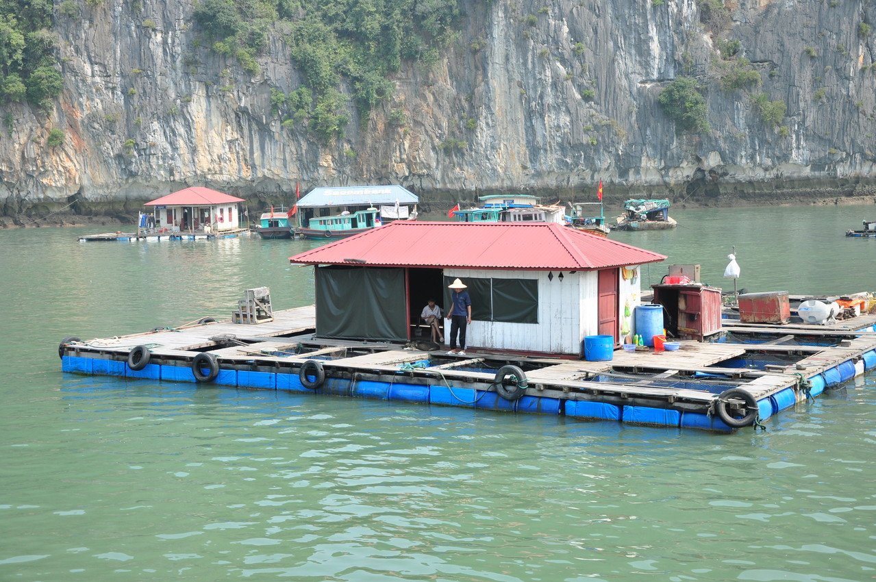 Baie d'Halong : village flottant