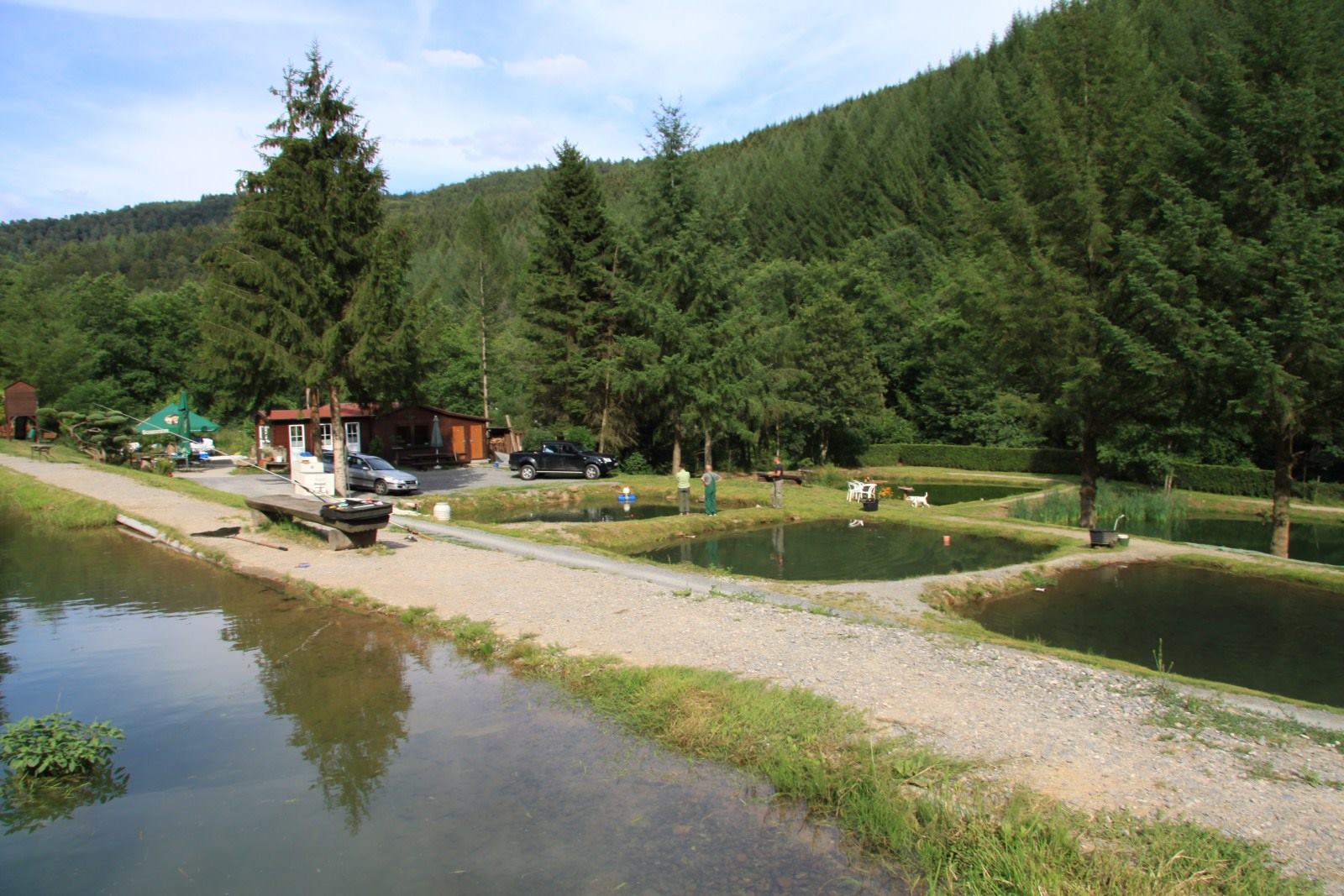 Teiche Forellenhof Ittertal Der ideale Aufenthaltsort für Angler und