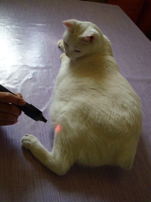 Laserakupunktur