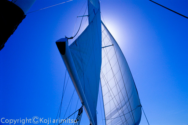西オーストラリアの写真　ヨットの帆