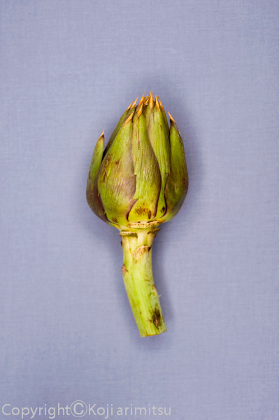 cuisine photography