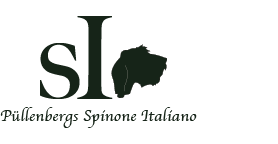 Püllenbergs Spinone Italiano - SI