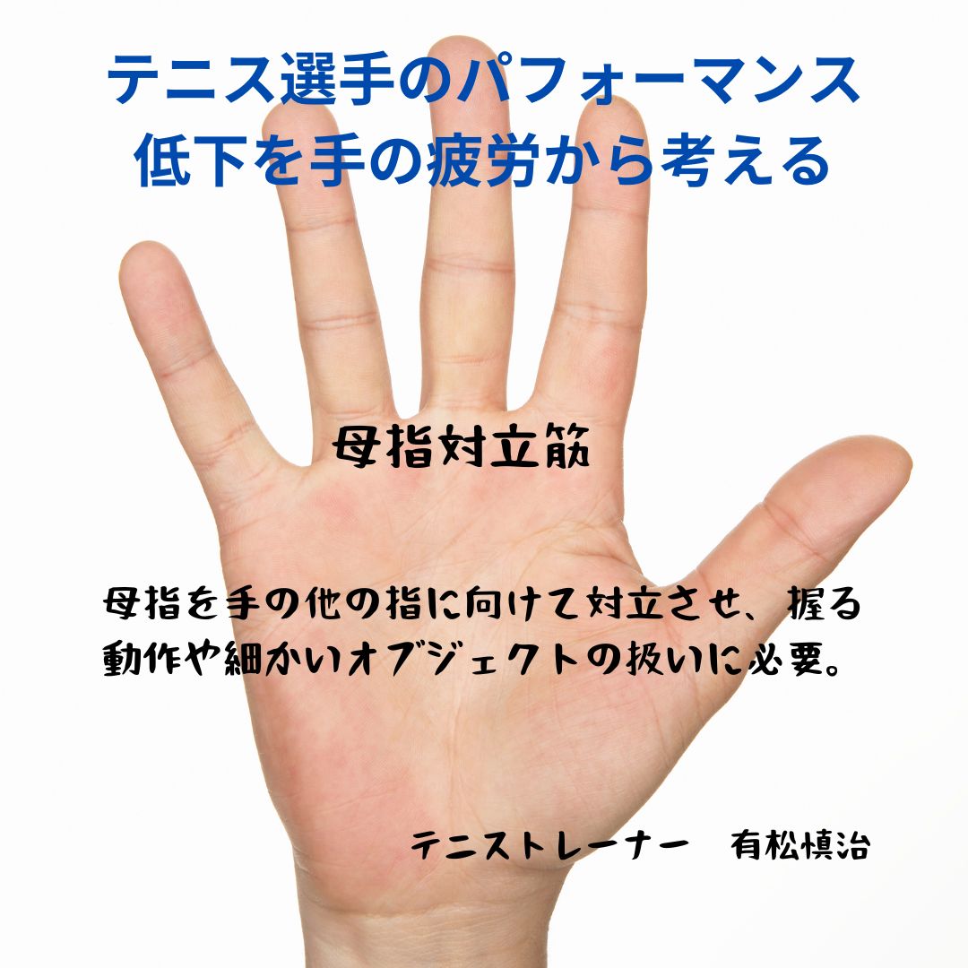 母指対立筋の疲労とスポーツ障害：テニス選手の身体を守るためのアプローチ