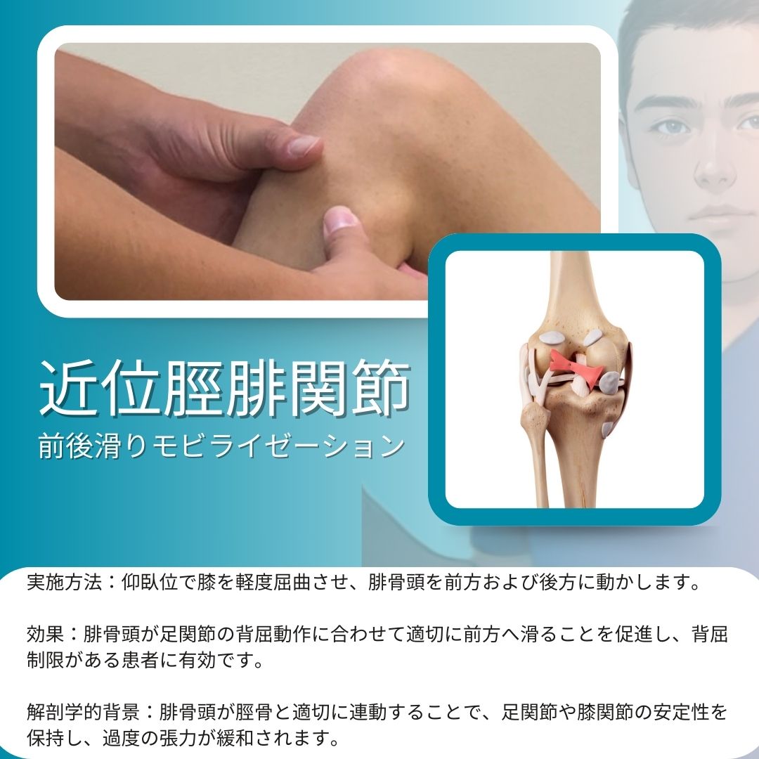 理学療法士徒手勉強会　膝関節のリハビリ