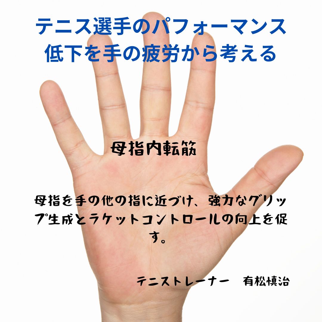 テニス選手の身体を怪我から守る：母指内転筋の疲労とスポーツ障害への対処法