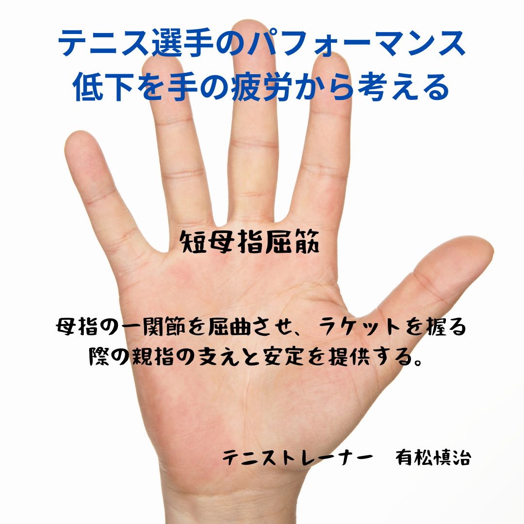 テニス選手の手の疲労がパフォーマンスに及ぼす影響：短母指屈筋の疲労に焦点を当てて