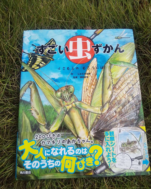 ママささんからの質問（Q)KADOKAWAの絵本で何かおすすめありませんか？