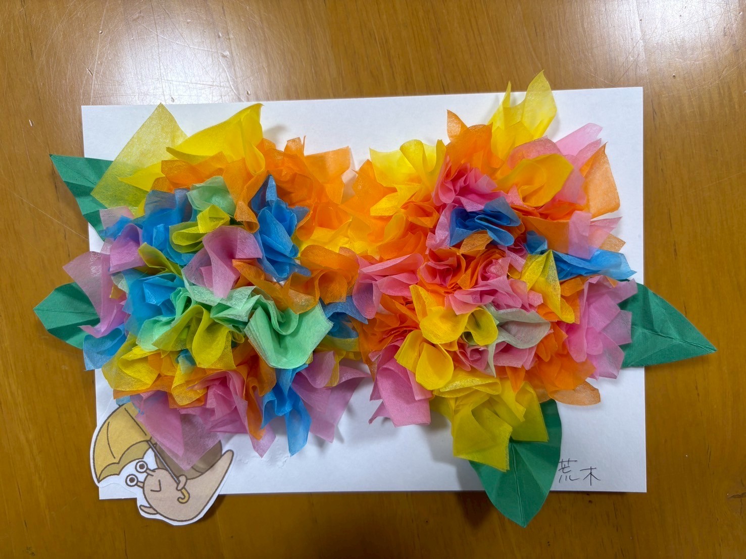 アジサイ
