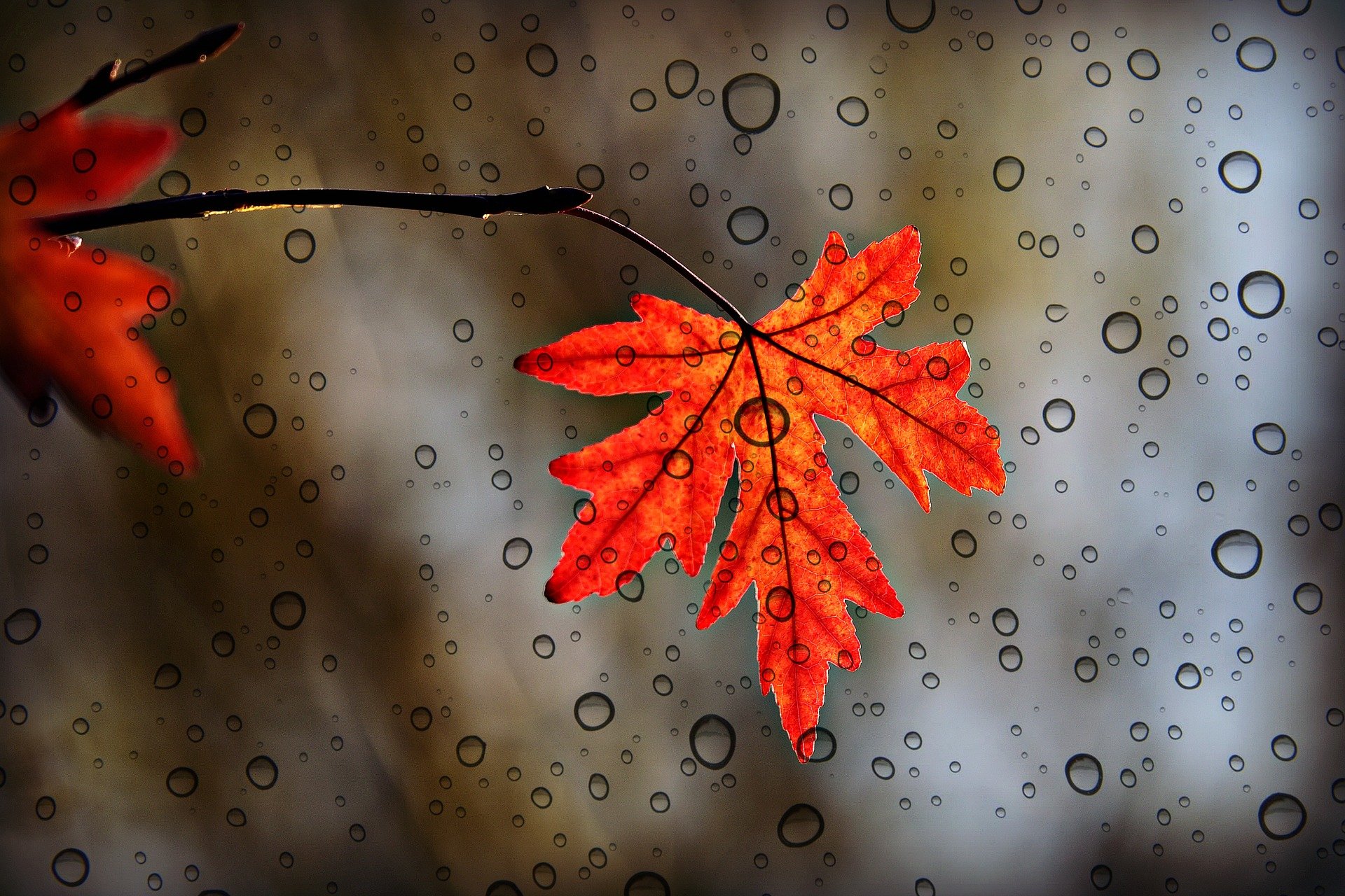 Herbst-Achterbahn