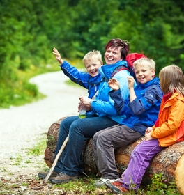 Wandern in der Eifel  Nationalpark 