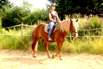 Pony reiten Bauernhofurlaub