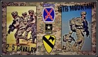 2-5 US Cavalry/10th Mountain Div.