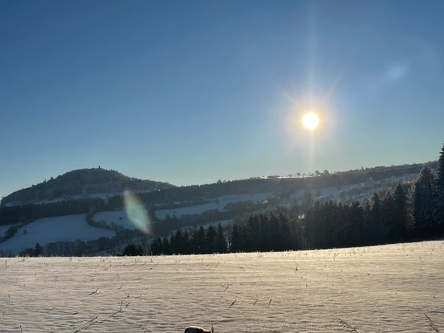 Das junge Jahr ist noch voller Möglichkeiten...