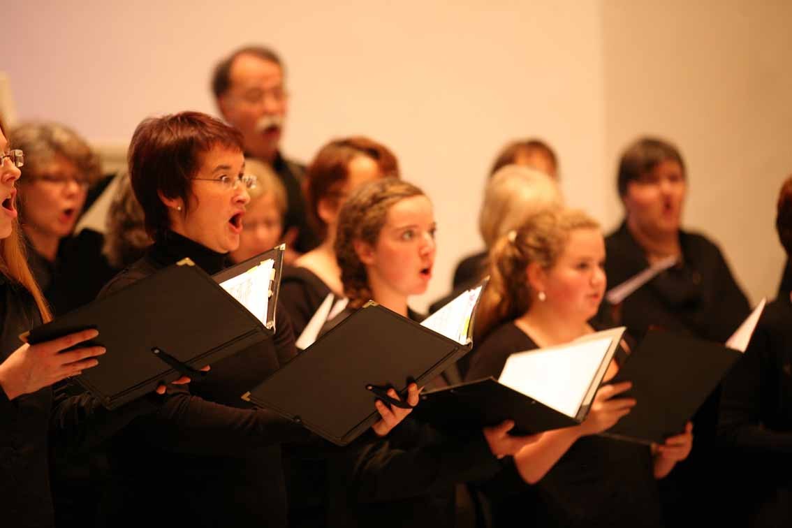 Sänger und Freunde des Bonner Vokalensembles. Foto: Hai Cheng, Bonn