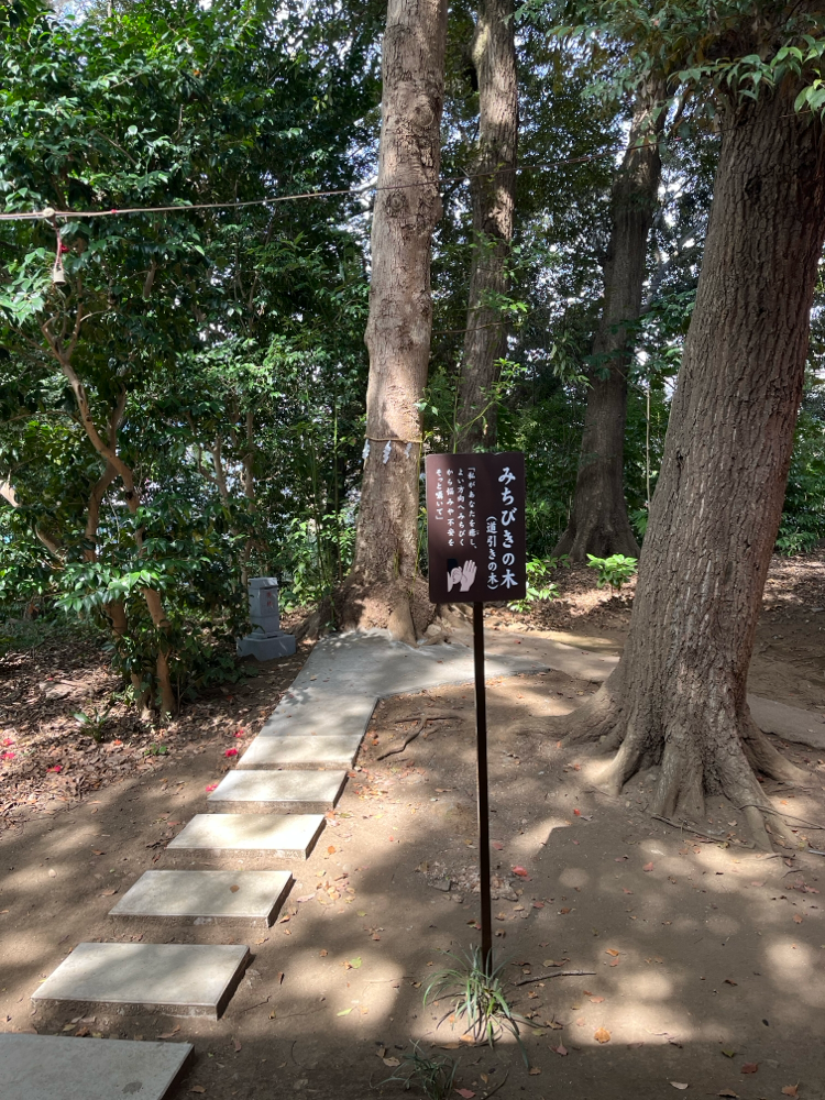 悩み痛みをつぶやくとみちびきの古木が聴いてくれるのだとか
