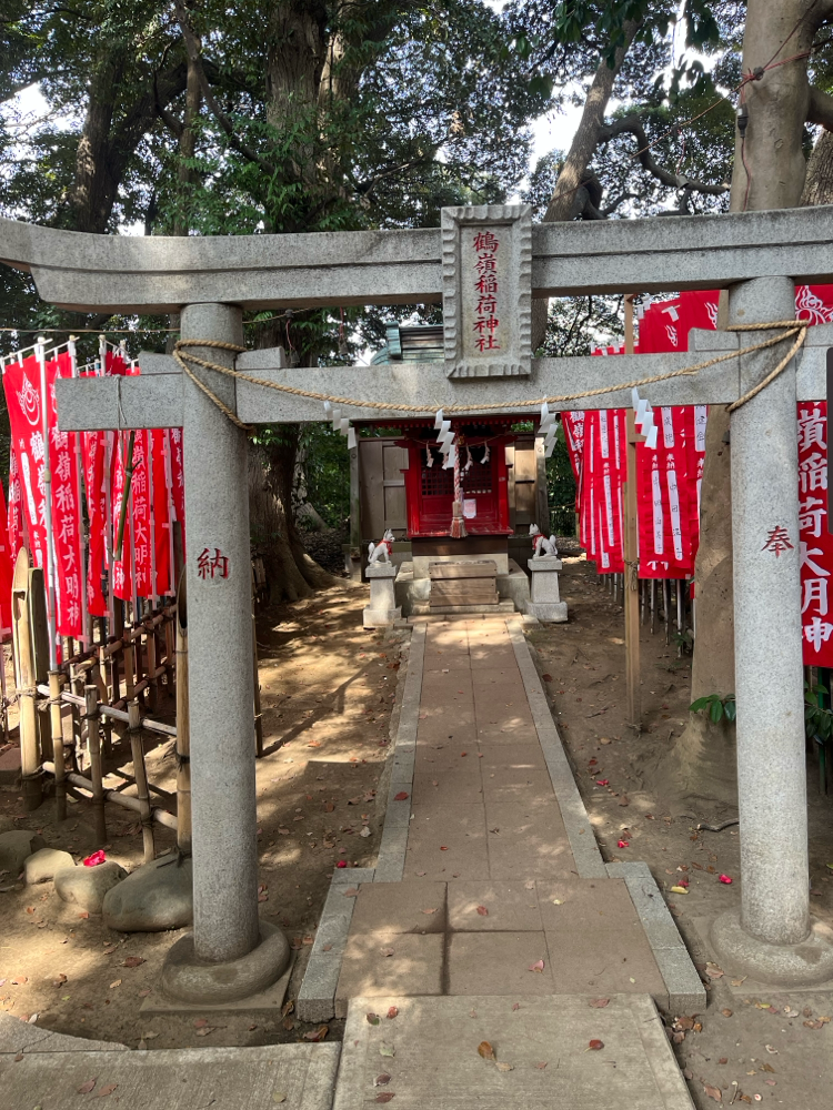 お稲荷さんもありいつもミントのお祈りをしています