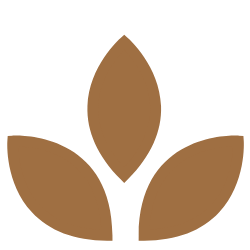 Einzelcoaching & Hypnosesitzungen