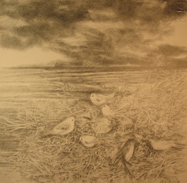 Uccellini nel paesaggio (matita su carta)