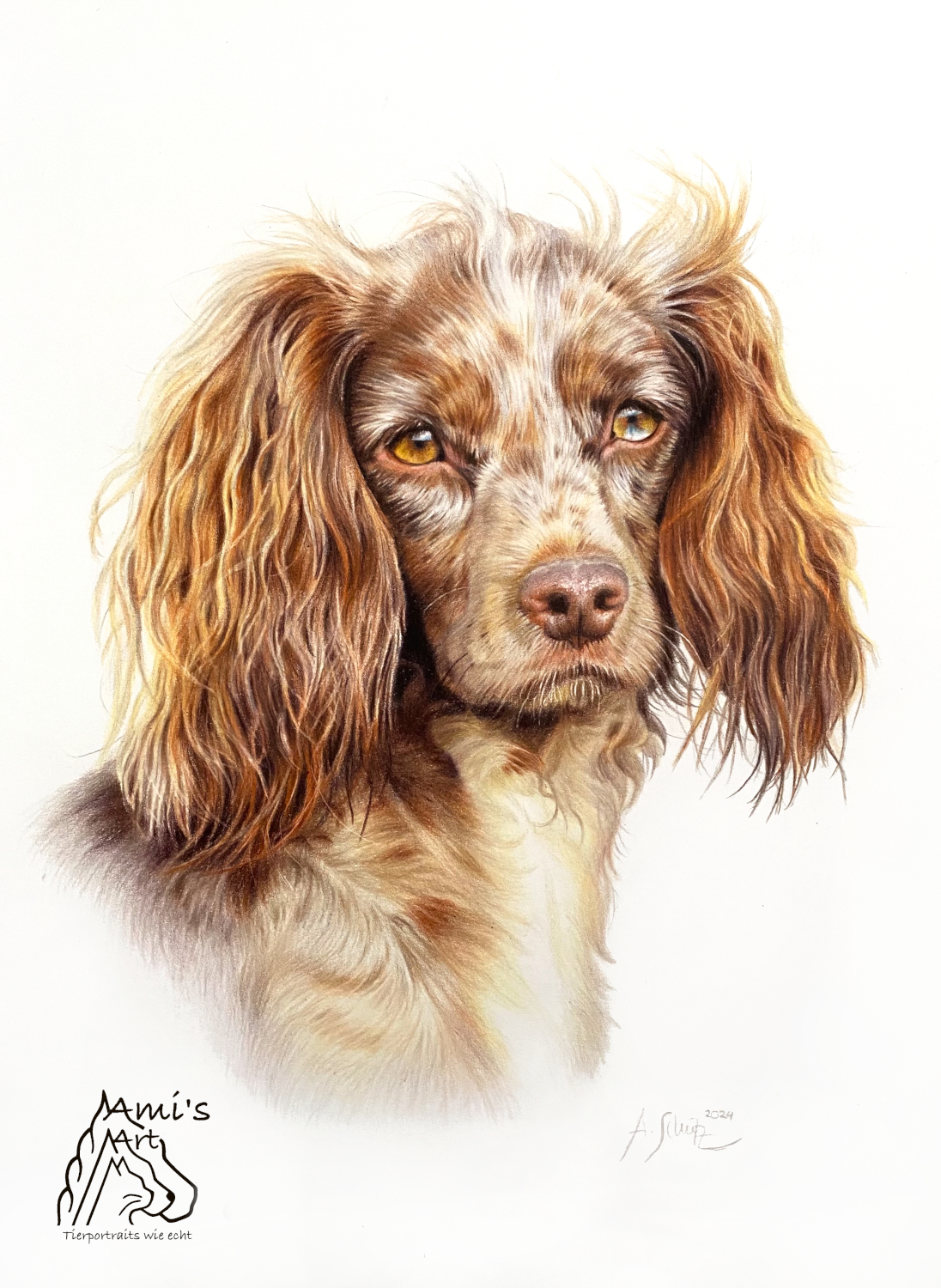 Spaniel Aika, focus & full tutorial.